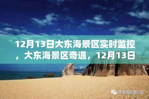 大东海景区奇遇,12月13日的魔法时光实时监控记录