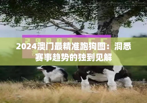 一石二鸟 第3页