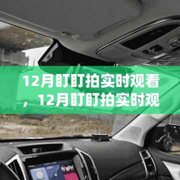 体验智能监控的魅力，12月盯盯拍实时观看