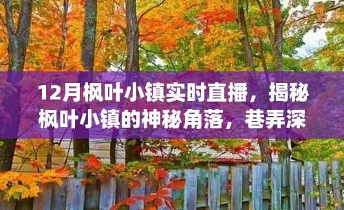 寒蝉僵鸟 第3页