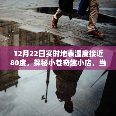 雍容典雅 第3页