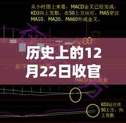威风凛凛 第3页