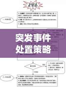 突发事件处置策略,应对挑战的关键方法与形式解析