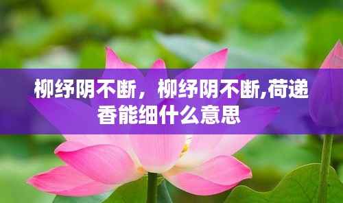 柳纾阴不断,柳纾阴不断,荷递香能细什么意思