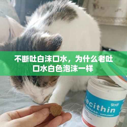 森久 第2页