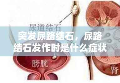长安米贵 第2页