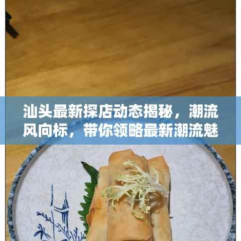 汕头最新探店动态揭秘,潮流风向标,带你领略最新潮流魅力