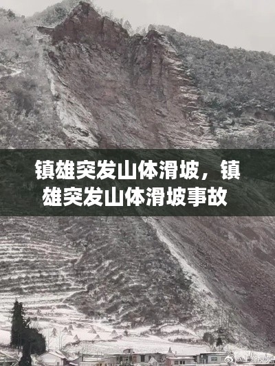德才兼备 第3页