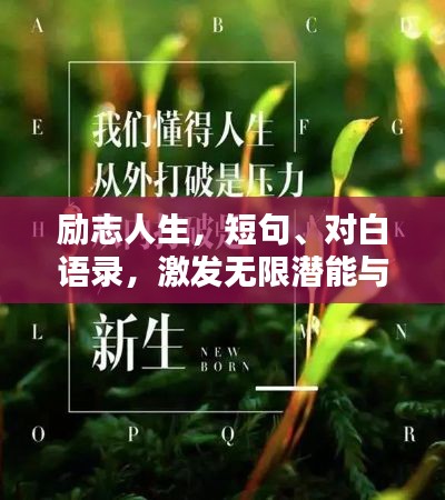 鸟惊鱼骇 第2页