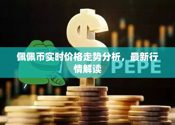 佩佩币实时价格走势分析,最新行情解读