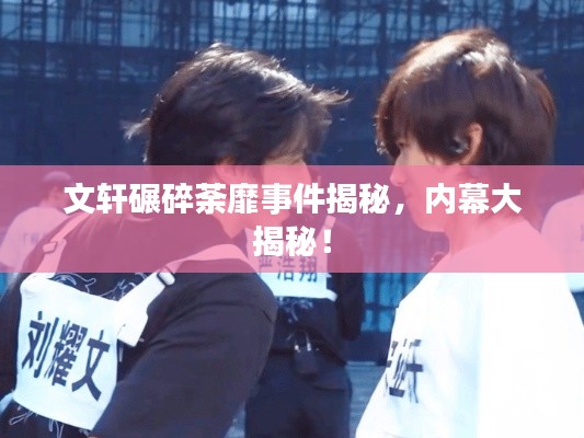 还醇返朴 第2页