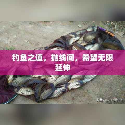 钓鱼之道,抛线间,希望无限延伸