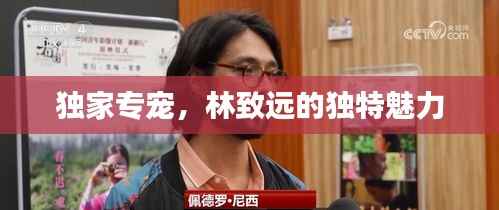 鸟声兽心 第2页