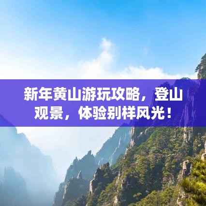 昙花一现 第2页