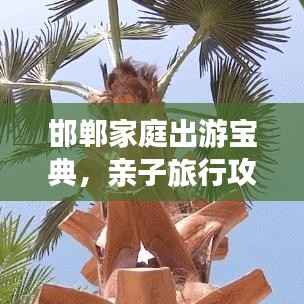 贵极人臣 第2页