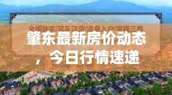 粗心大意 第2页