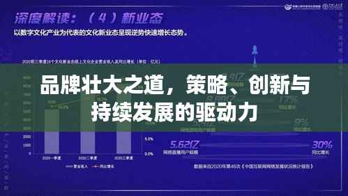 品牌壮大之道,策略、创新与持续发展的驱动力