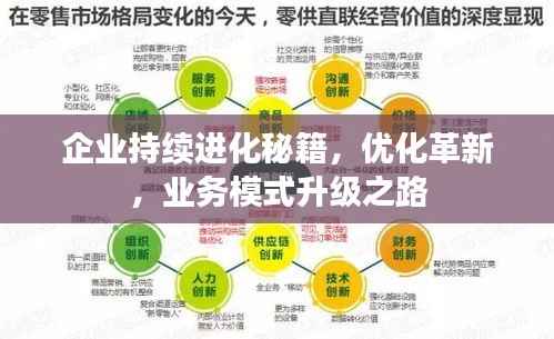 企业持续进化秘籍,优化革新,业务模式升级之路