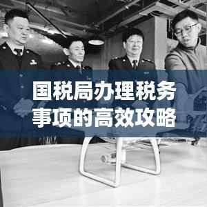 国税局办理税务事项的高效攻略,助你轻松了解税务流程