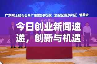 今日创业新闻速递,创新与机遇共舞,引领创业新潮流风向标