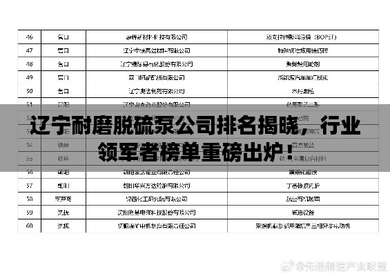 辽宁耐磨脱硫泵公司排名揭晓,行业领军者榜单重磅出炉!