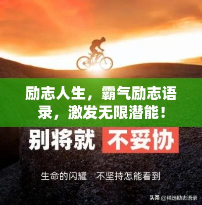 鸢飞戾天 第2页