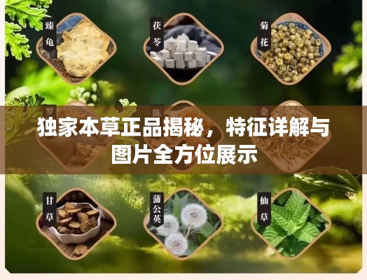 淡妆浓抹 第2页