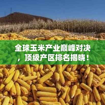 全球玉米产业巅峰对决,顶级产区排名揭晓!