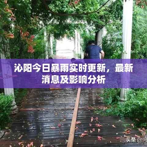 沁阳今日暴雨实时更新，最新消息及影响分析