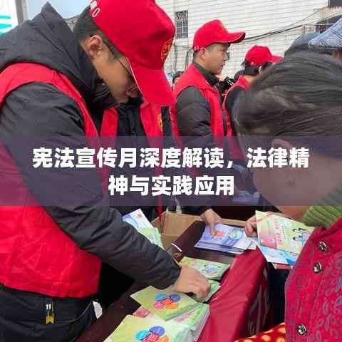 宪法宣传月深度解读，法律精神与实践应用