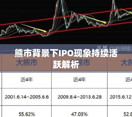 熊市背景下IPO现象持续活跃解析
