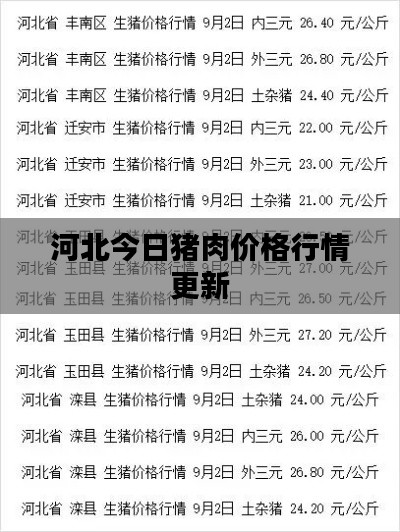 河北今日猪肉价格行情更新