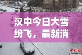 汉中今日大雪纷飞,最新消息视频直击现场